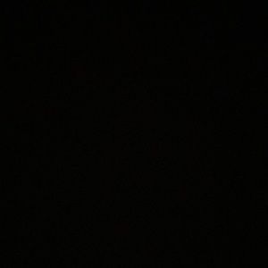 Meet your Posher, Max